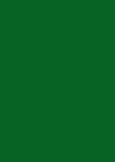 Cardboard A4 300g dark green (10)