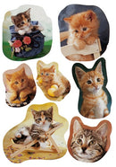 Herma stickers Decor little cats (3)